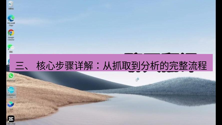 helloworld翻译在线 三、 核心步骤详解：从抓取到分析的完整流程